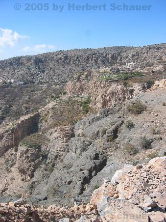 Blick auf Al Ayn vom Diana's Point