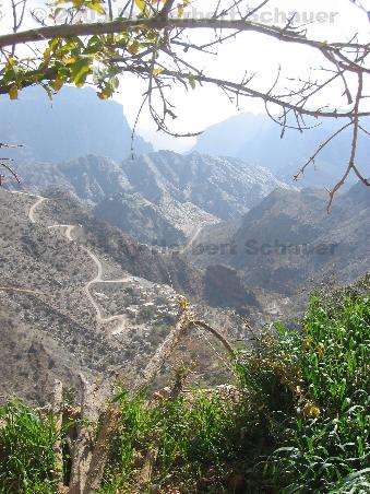 Blick von den Gärten Al Ayns in den Canyon