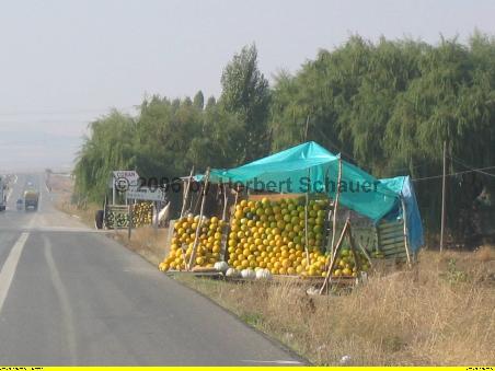 Melonenverkauf an der Hauptstrasse