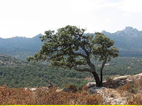 Landschaft der Provinz Gallura
