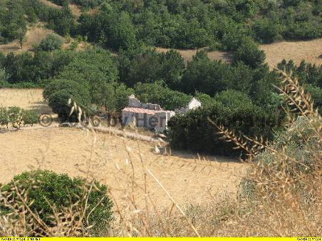 San Nicola