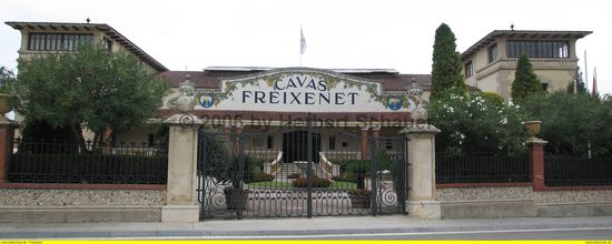 Cava Freixenet - der 'preiswertere' und in Deutschland bekanntere Schaumwein