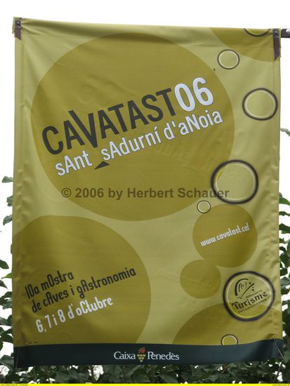 Flagge zum CavaTast 2006