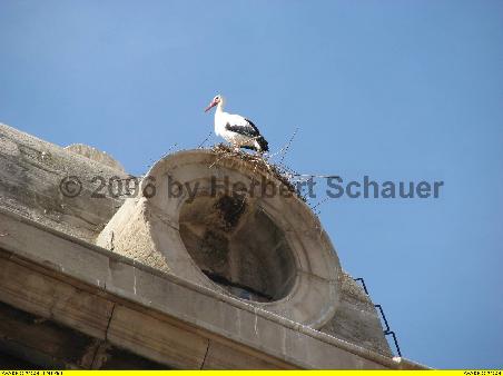 und ihre Bewohner