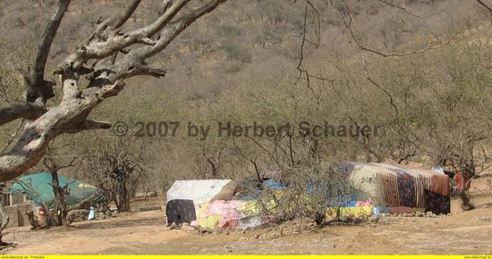 Nomadenzelte im Wadi Tabrook