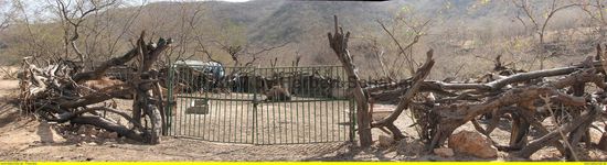 Viehzaun nach Bauart der Beduinen