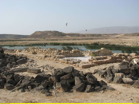 im Khor Rori findet sich vielfältige Flora und Fauna