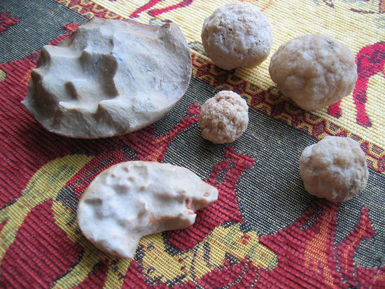 unsere Fundstücke
links die 'Zahnsteine' - rechts die Geoden (transportabler Größe)