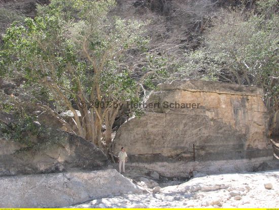 ehemalige Wasserstände sind gut ablesbar