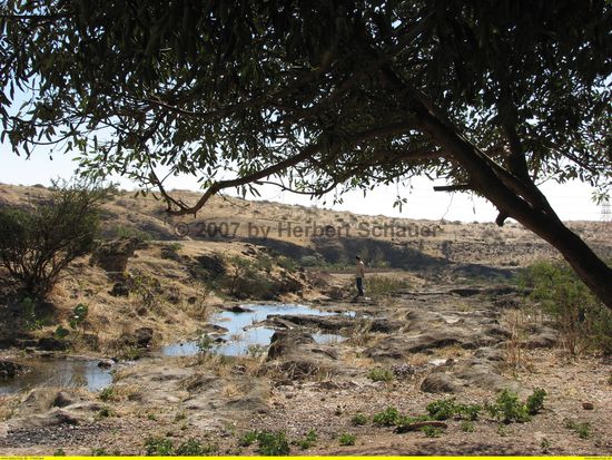 im Wadi fließt noch ein Rinnsal