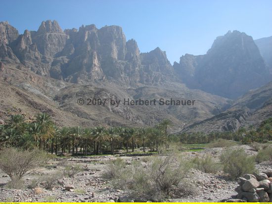 Oase Hajar am Ende des Seitenwadis