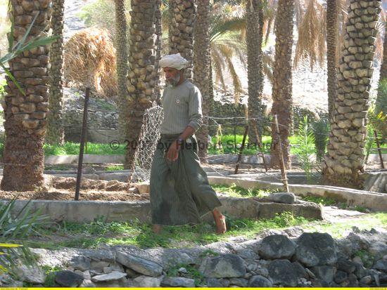 der offizielle Wasserverteiler bei der Arbeit