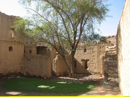 Im Innenhof grünt es, weil vor 2 Wochen ein heftiger Regenguß war, der in Muscat die Autobahn für Stunden blockierte.