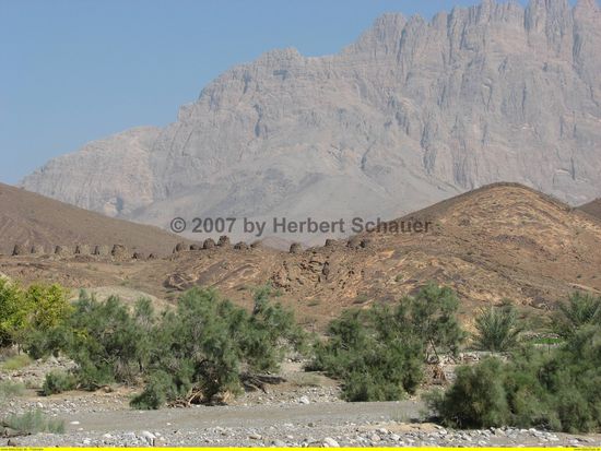 hier erkennt man die Gräber