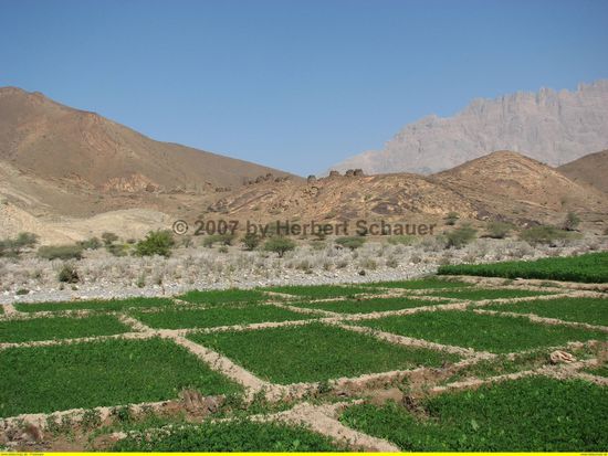 Felder zwischen zwei Flußbetten