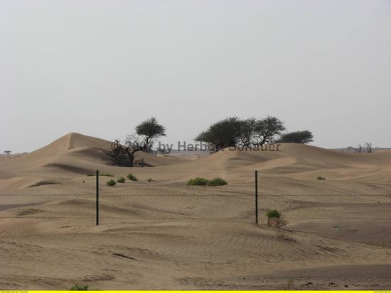 erste Dünen der saudi-arabischen Wüste