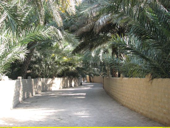 gepflasterte Straßen durch die Oase