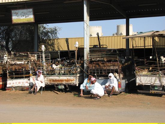 pakistanische Händler vor ihren Toyota-Pick-Ups