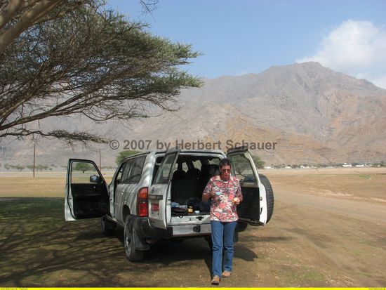 'Versuch' eines Picnics im Akazienwald