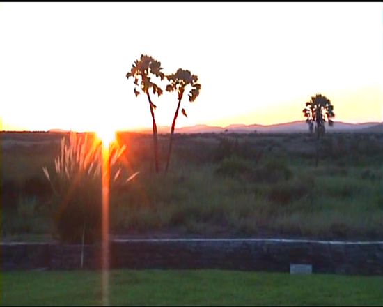 Obwohl wir den Sonnenuntergang abwarten, sehen wir auch heute keinen Elefanten