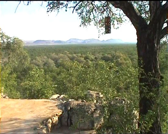 Blick von der Bambatsi-Lodge ins Tal