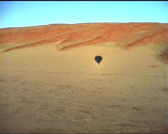 der Schatten des Ballons (ver)treibt die Tiere