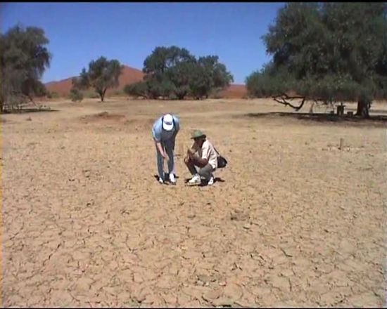 kein Wunder - bei dem Boden