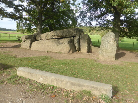 Die  Deckplatte schließt den Dolmen, 80 Zentimeter mächtig, hat sie etwa 16 Quadratmeter Fläche und wiegt 20 Tonnen.