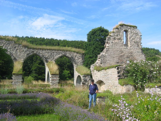 Ruine des Alvastra-Klosters