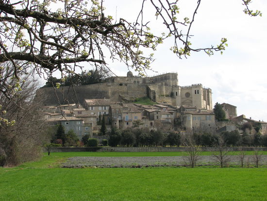 das Schloss beherrscht den Hügel, direkt unterhalb liegt die Schlosskirche und daran schmiegt sich die Altstadt.