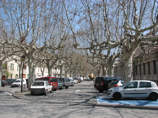 südliches Flair durch die Platanenallee