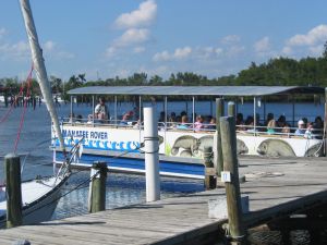 Manatee-Bootstour in Ft. Myers