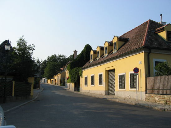 ländliche Idylle in Grinzing vor dem abendlichen Ansturm