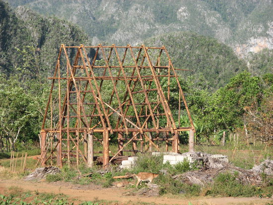 Trockenschuppen im Bau