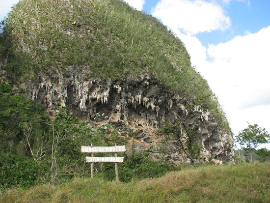 hier ist besonders deutlich die Erosion des Kalkstein zu sehen, die zu den bizarren Formen über- und unterirdisch geführt hat