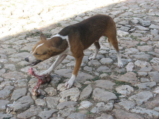 nur die Ruhe auf den Strassen läßt ein ausgiebiges Mahl wie dieses zu