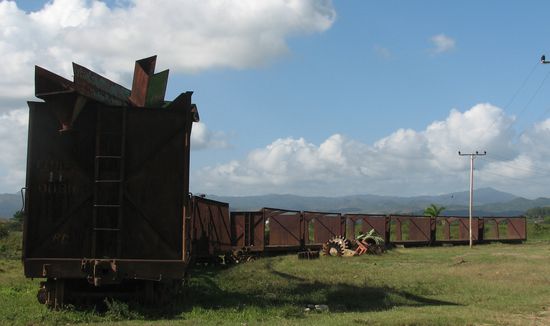 abgestellte Waggons verrotten auf der Kuhweide