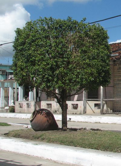 Auf dem Mittelstreifen liegen dekorativ alte Wasserkrüge