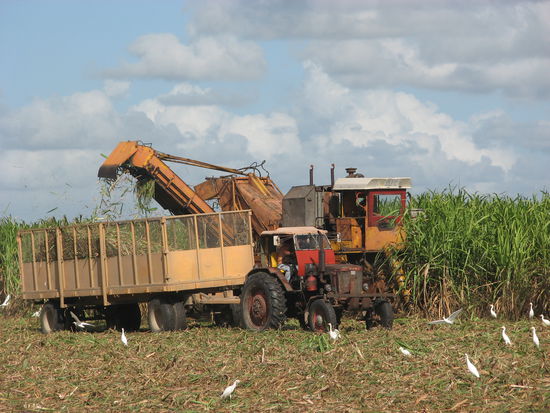 Ernte mit modernem Gerät und altem Transportmittel