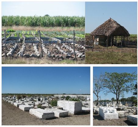 Es bleibt uns die zeit auch eine der inzwischen zugelassenen 'privaten' Gemüseanbauflächen und einen Friedhof auf dem lande zu besuchen