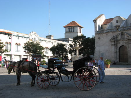 Plaza de San Francisco d'Asis mit Löwenbrunnen und zahlreichen Pferdekutschen für eine Tour durch die Altstadt