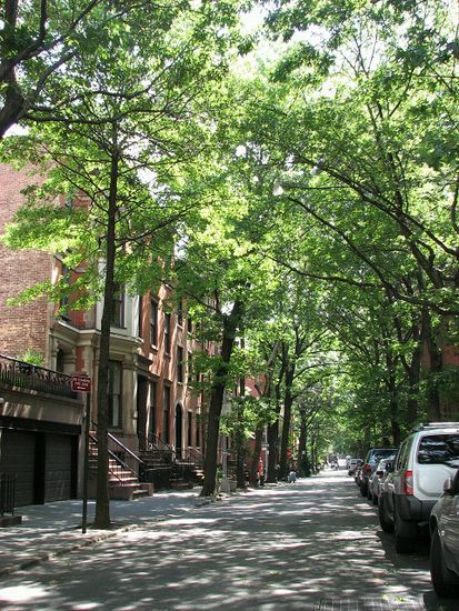 schattige ruhigen Straßen in den Brooklyn Heights