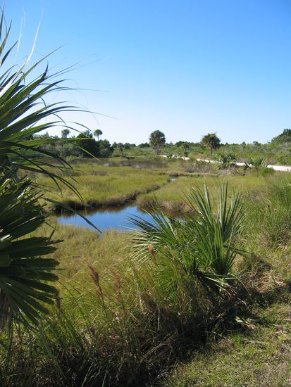 der 7-miles-drive über gut geglätte Sandpiste - maximale Geschwindigkeit: 10 m/h