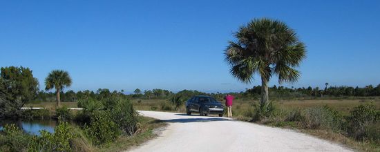 alles sehr ruhig - in Florida scheinen die Amis erst  mittags aktiv zu werden