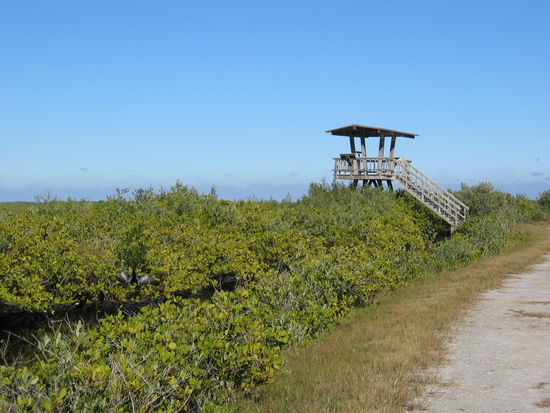 Aussichtsplattform am langen trail