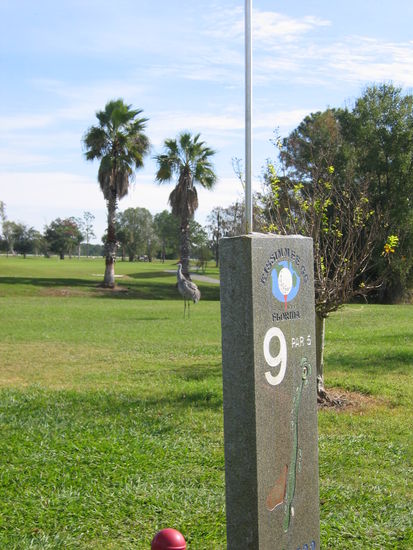 Tiere sind genügend zu beobachten