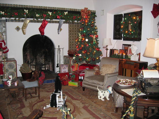 'mein' Kaminzimmer - wir sollen nämlich das schönste wählen