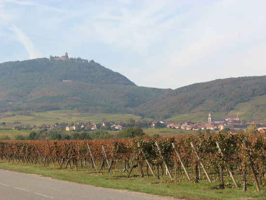 Haut-Königsbourg