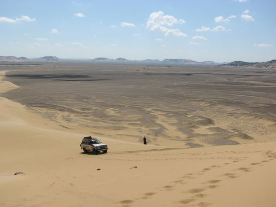 Reeda hat es bis zur Hälfte der Dünenhöhe geschafft