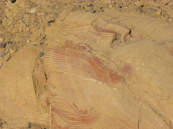kann man vereinzelt auch andere Gesteinsarten entdecken, die tolle Muster durch ihre Erosion entwickelt haben. - In Farafra werden wir einen Künstler besuchen, der diese Gesteine gerne verarbeitet. s.u.